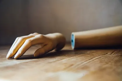 Casino Wild Fortune Mobil App